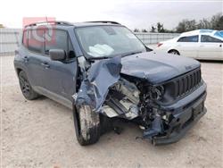 جيب رينيجيد